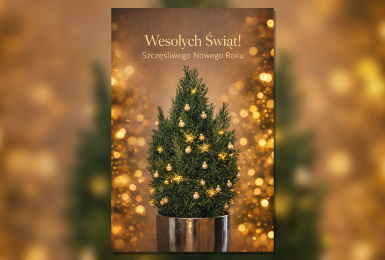 Wesołych Świąt Bożego Narodzenia i Szczęśliwego Nowego Roku !